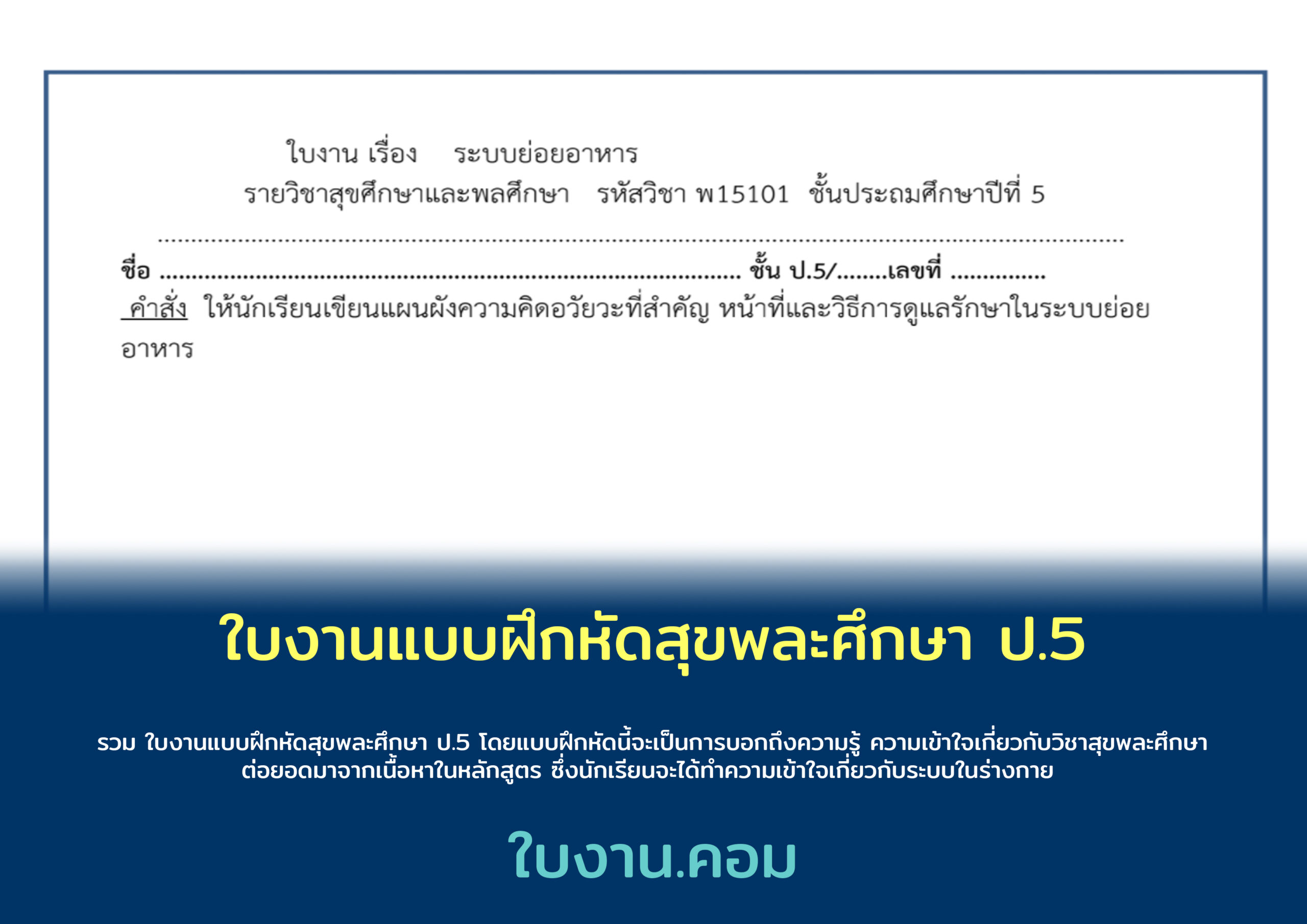 ใบงานแบบฝึกหัดสุขพละศึกษา ป.5