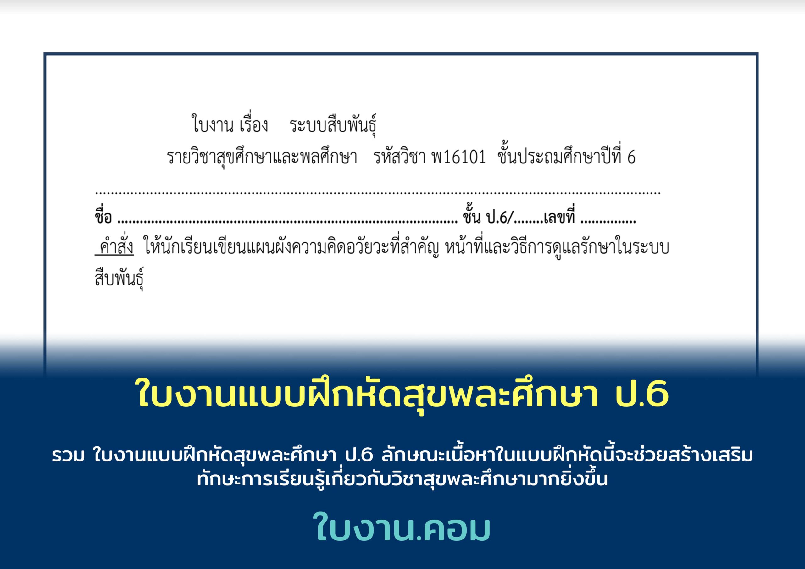 ใบงานแบบฝึกหัดสุขพละศึกษา ป.6